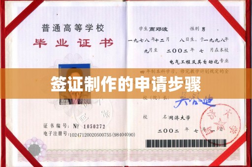 雨山签证制作的申请步骤