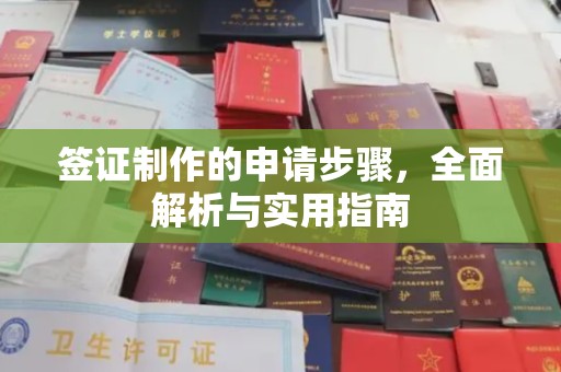 雨山签证制作的申请步骤，全面解析与实用指南