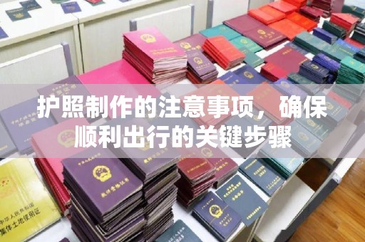 雨山护照制作的注意事项，确保顺利出行的关键步骤