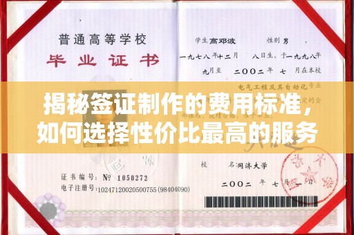 雨山揭秘签证制作的费用标准，如何选择性价比最高的服务？